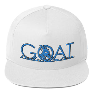 BLUE LOGO FLAT BILL