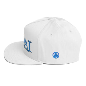 BLUE LOGO FLAT BILL